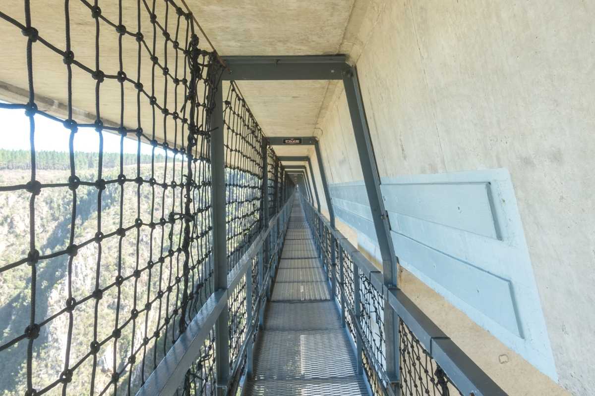 Walkway to Bungy Jump in South Africa