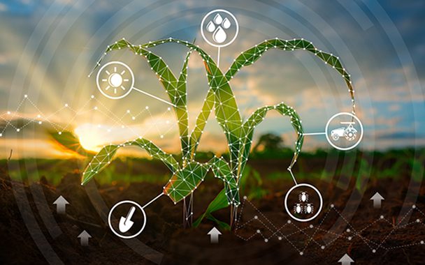 Sentera: Improving Outcomes for Growers