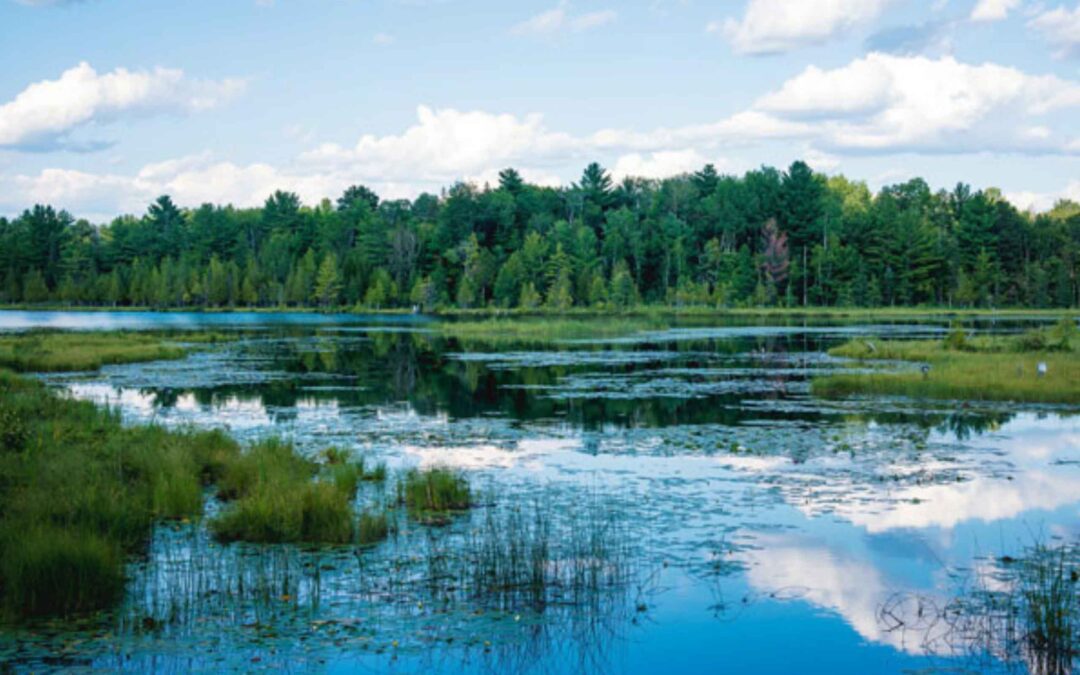 AsseTrac: Reducing Environmental Impact with IoT