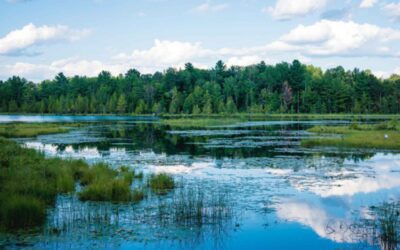 AsseTrac: Reducing Environmental Impact with IoT